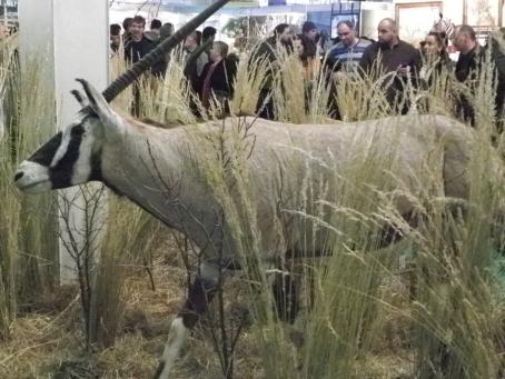 Kattints a teljes mret kp megtekintshez fehova35.jpg
